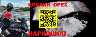 шишки Изобильный