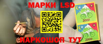 ECSTASY Заволжье