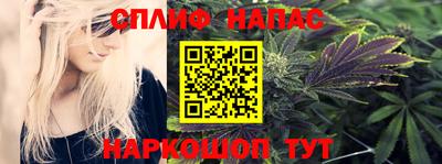 шишки Изобильный